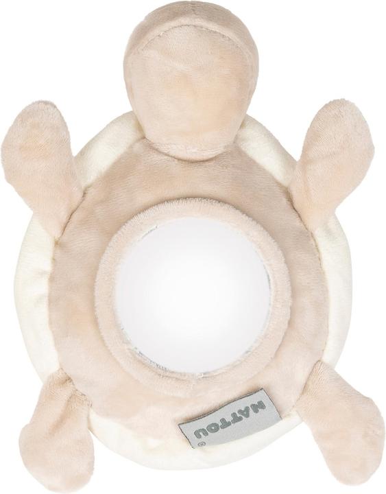 Actual product image Nattou Lapidou turtles with activities