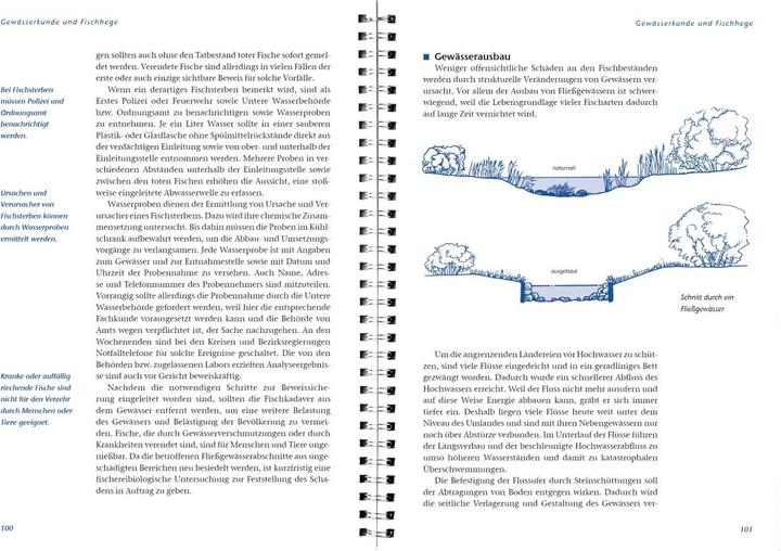 Produktbild Arbeitsbuch Fischerprüfung (Deutsch, Manfred Hammer, Ernst Heddergott, Michael Möhlenkamp, LV-Buch, 2015)