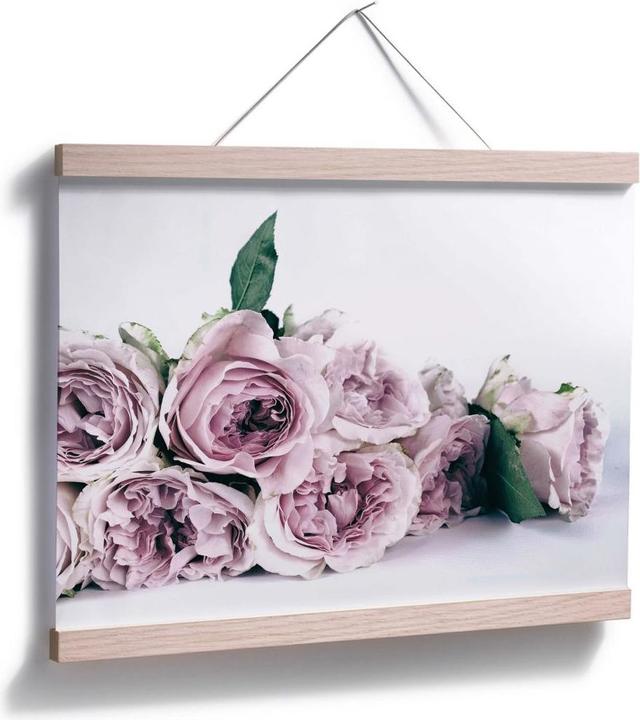 Produktbild Trenddeko Violette Pfingstrosen (40 x 30 cm)