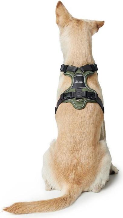 Actual product image Hunter Tableware Divo (L, Dog, Dog sport)