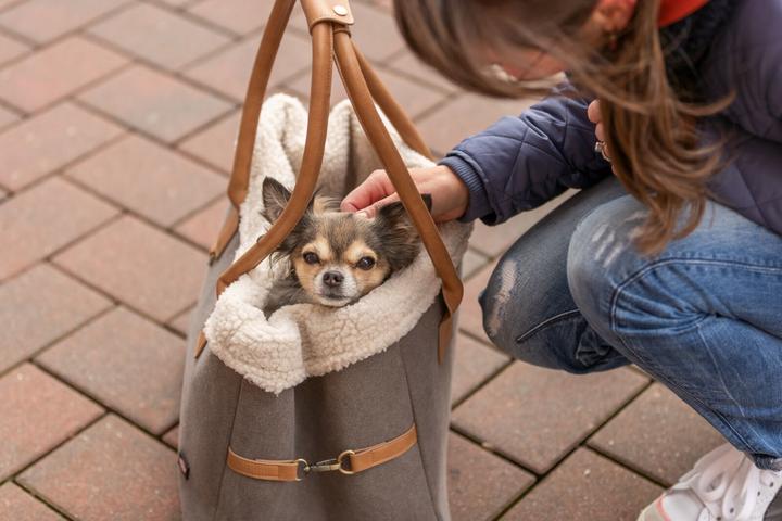 Image du produit Trixie Sac de transport pour animaux Rachel, 25 × 30 × 40 cm, gris/marron clair (Chien, Lavable)