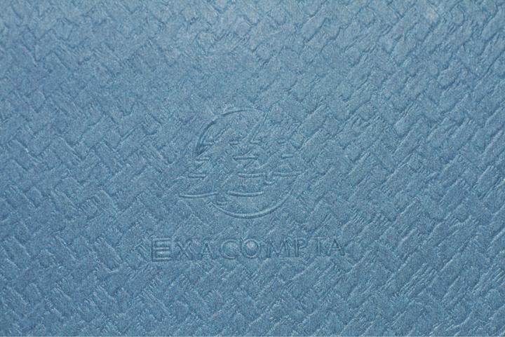 Actual product image Exacompta - Duck blue (A4+)