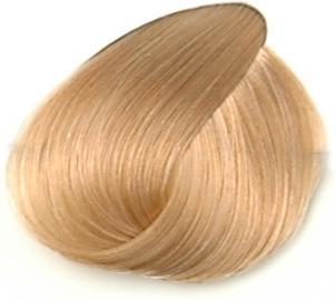 12-46 Special Blonde Beige Beige Chocolate