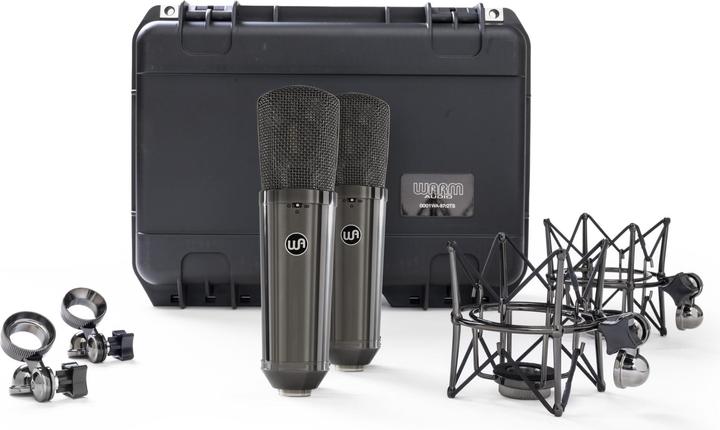 Image du produit Warm Audio WA-87 R2 TS - Paire stéréo en titane en édition limitée