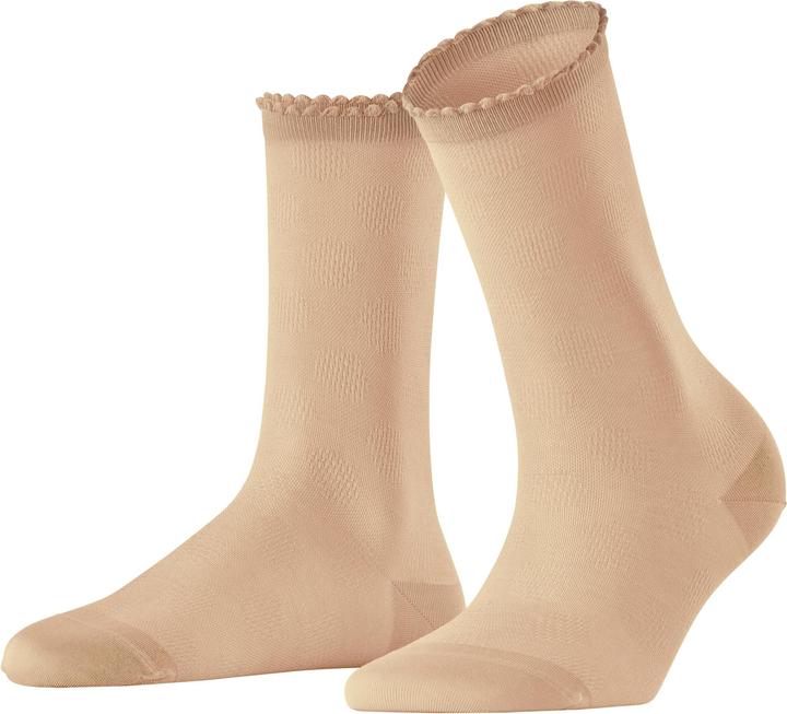 Cammello