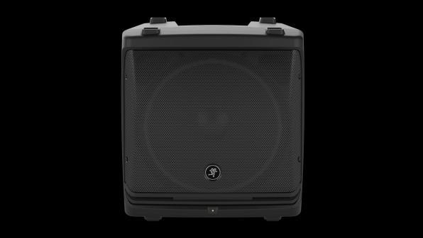 Actual product image Mackie DLM12 Hallway Wall Mountable