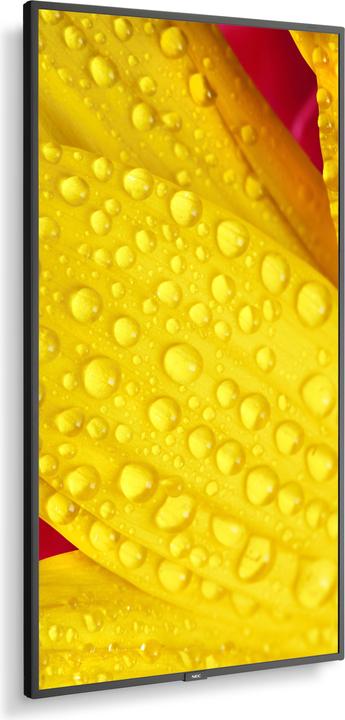 Actual product image Sharp M501-2 50IN UHD 500CD/SQM (3840 x 2160 Pixels, 50")