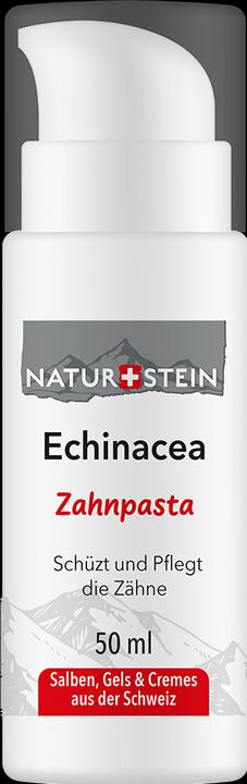 Produktbild Naturstein Echinacea (50 ml)