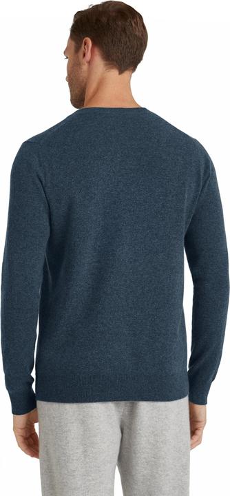 Produktbild Falke LU Classic V-Neck m (S)
