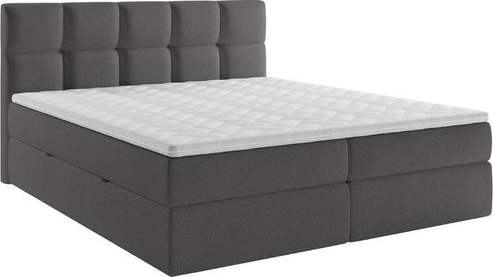 Immagine prodotto Livetastic Lorie (200 x 200 cm)