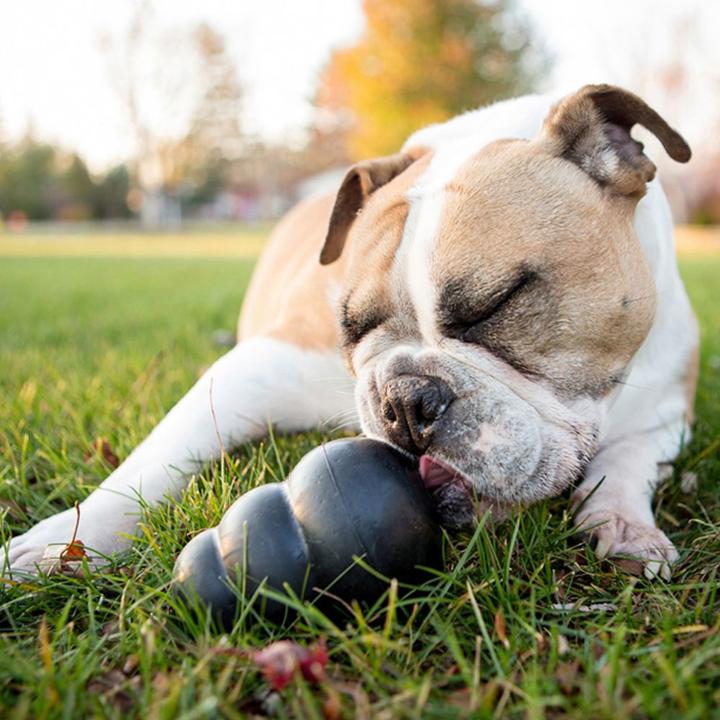 Produktbild KONG Extreme (Kauspielzeug Hund, Futterspielzeug Hund, Apportieren)