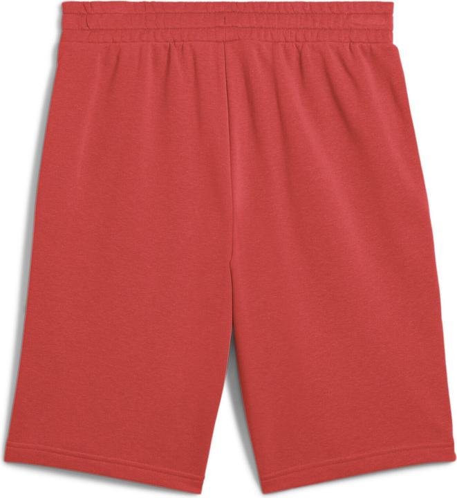 Puma No. 1 10"