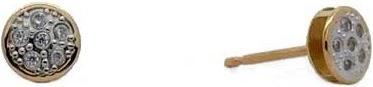 Passion Ohrringe Aus 9 Kt Gold – Zweifarbig – Rund – Zirkonia (9 KT GOLD)