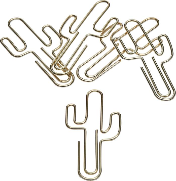 Actual product image micasa Cactus (5 x)