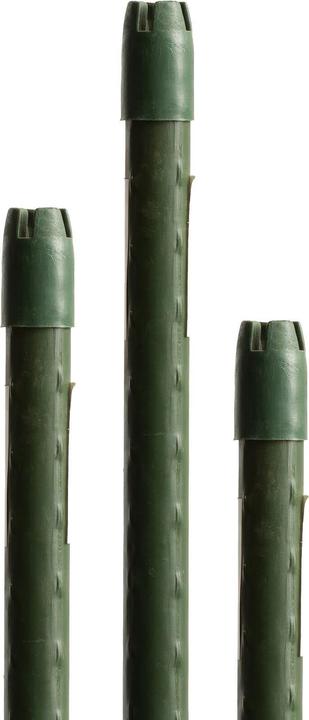 Produktbild Miogarden Pflanzenstab 180 cm (1.50 cm, 180 cm)