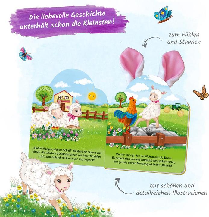 Immagine prodotto Il libro per bambini "La piccola pecora" con orecchie di peluche (Tedesco)