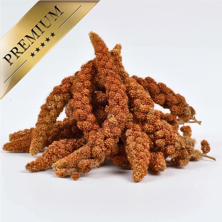 Image du produit Lyra Pet Millet en épi (1 x, 1 kg)