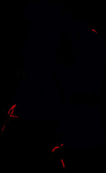 Corbeau noir
