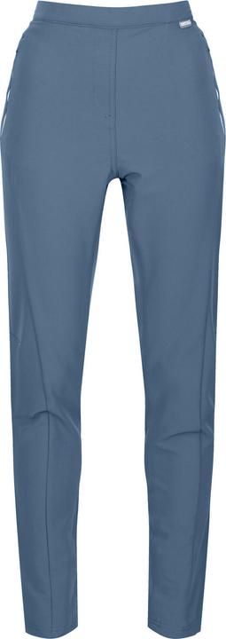 Actual product image Regatta Womens/Ladies Pentre Marl Hiking Trousers (46 D)