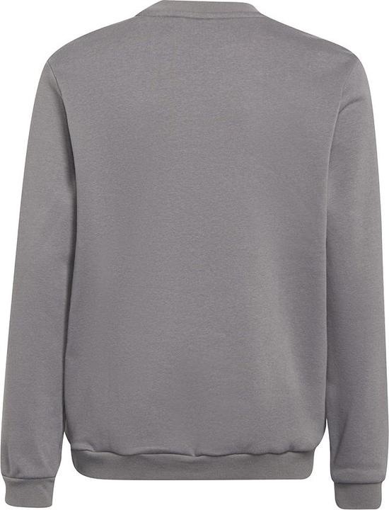 Image du produit adidas Entrada 22 Sweatshirt enfants (128)