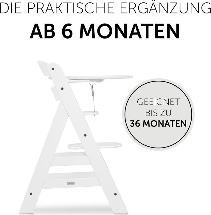 Image du produit Hauck Alpha Click Tray