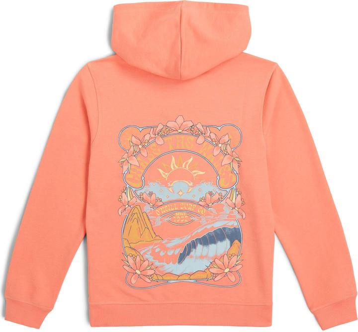 Produktbild O'Neill Back Print Hoodie (164)