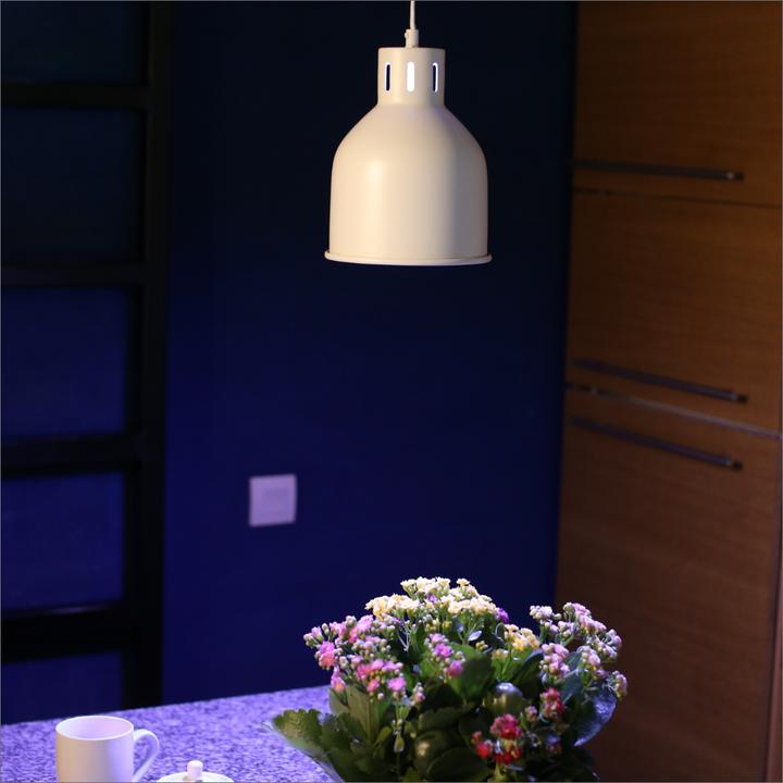 Actual product image Neogard Saga (LED, 230 V)