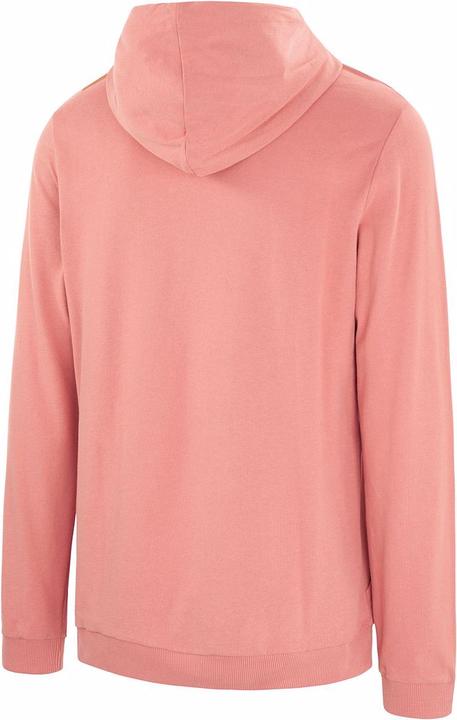 Actual product image Picture Winton hoodie (S)