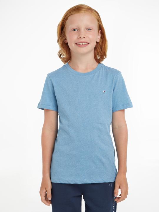 Actual product image Tommy Hilfiger t-shirt (12)