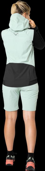 Actual product image Dynafit Transalper Dynastretch Shorts (M)