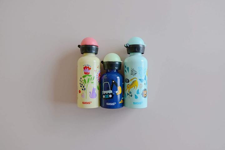 Immagine prodotto Sigg Bottiglie (0.30 l)