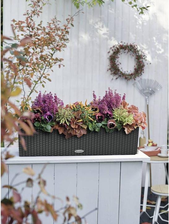 Immagine prodotto Lechuza Balconera Cottage (19 cm)
