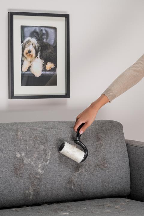 Image du produit Scotch-Brite Grande surface