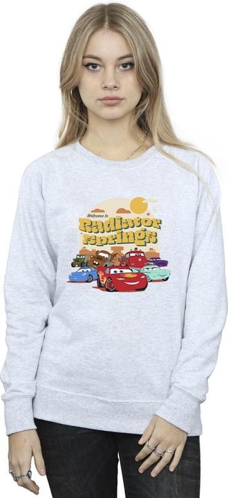 Produktbild Disney Cars Radiator Springs Group Sweatshirt (XL)