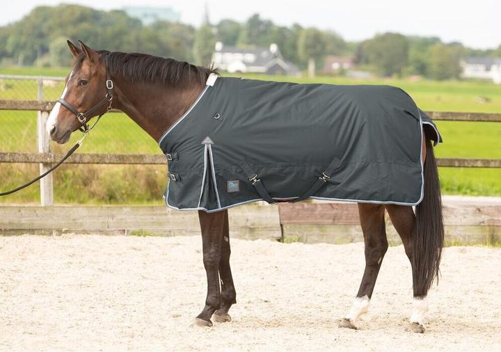 Image du produit Harry's Horse Thor 200