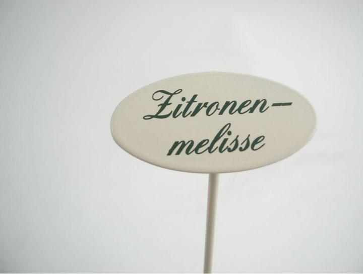 Gewürzstecker Zitronenmelisse 20 cm (20 cm, 2.40 cm)