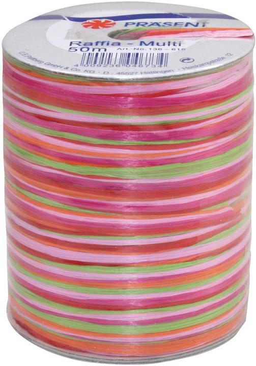 Produktbild Präsent Bast Multi (Geschenkband, 1 x)