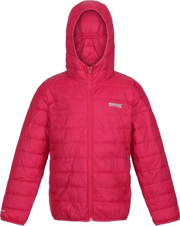 Produktbild Regatta Hillpack Jacke mit Kapuze (158)