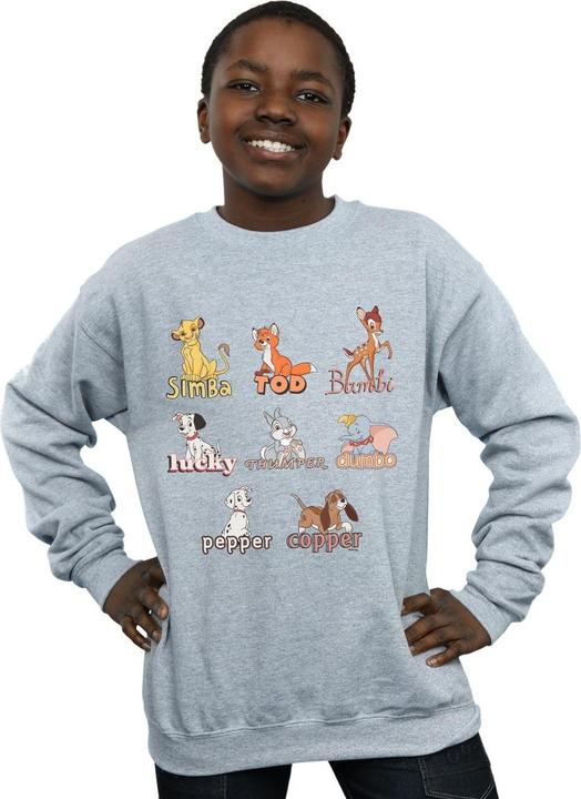 Actual product image Disney Boys Little Friends Animals Sweatshirt (140, 146)