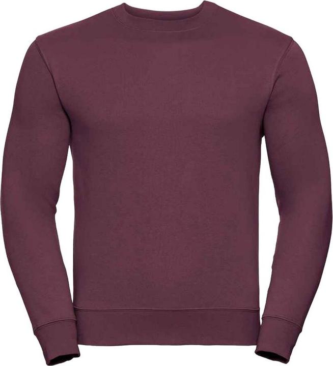 Immagine prodotto Russell Authentic Felpa con Cappuccio Uomo (S)