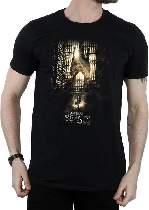 Actual product image Fantastic Beasts Mens Movie Poster T-Shirt (3XL)