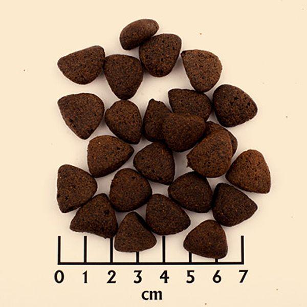 Actual product image Wolfsblut Dry Dog Food Wide Plain Large Breed, 12.5 kg (Adult, 1 pcs., 12500 g)