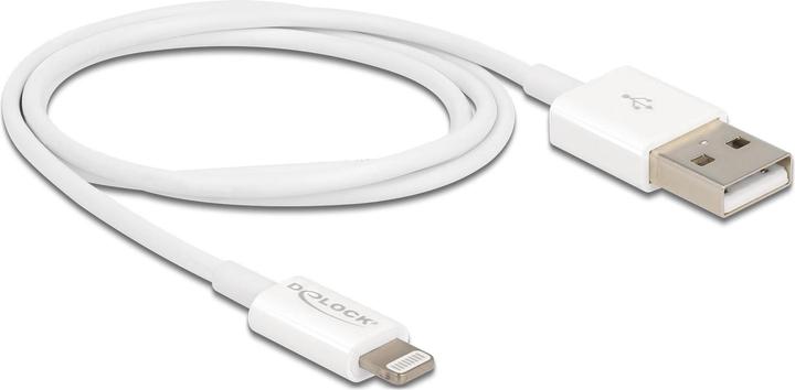 Actual product image Delock USB Charging Cable for iPhone 15 cm White (0.15 m, USB 2.0)