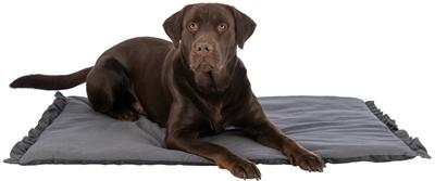 Produktbild Trixie Ligmat Amelie Donkergrijs - 70X50 Cm (Hund)