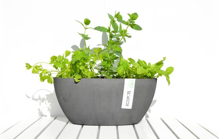 Produktbild Ecopots Sofia (13 cm)