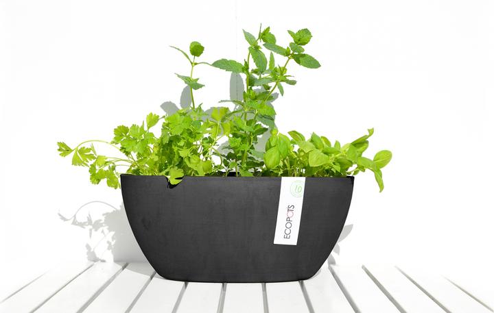 Actual product image Ecopots Sofia (13 cm)