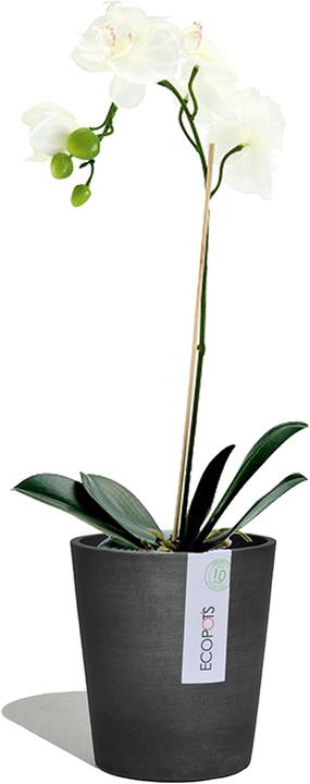 Actual product image Ecopots Morinda (14 cm)