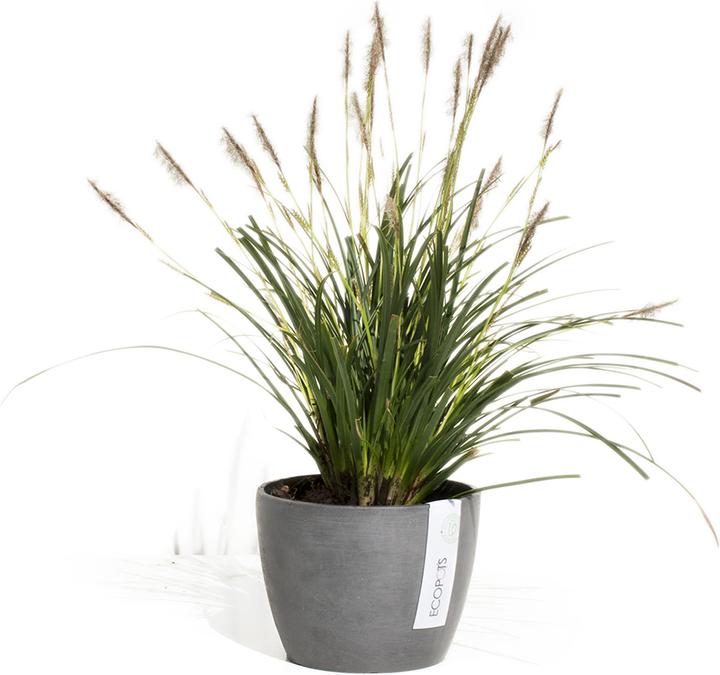 Actual product image Ecopots Stockholm (16 cm)