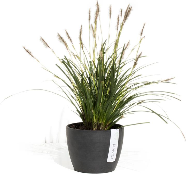 Actual product image Ecopots Stockholm (16 cm)