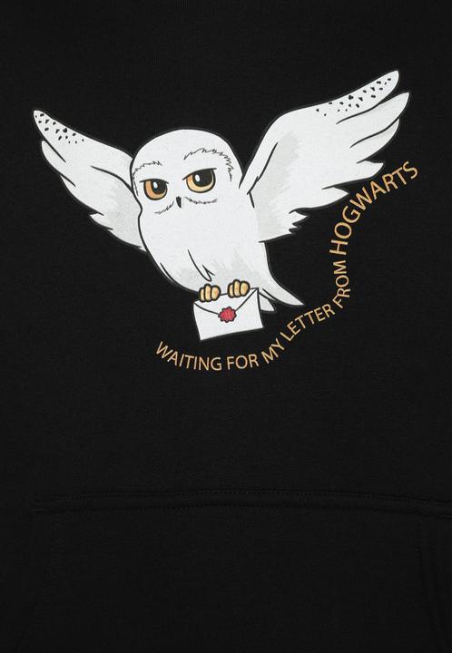 Image du produit Mister Tee MisterTee T-Shirt & Hoody 2 Pack - Harry Potter - 184617 (158)